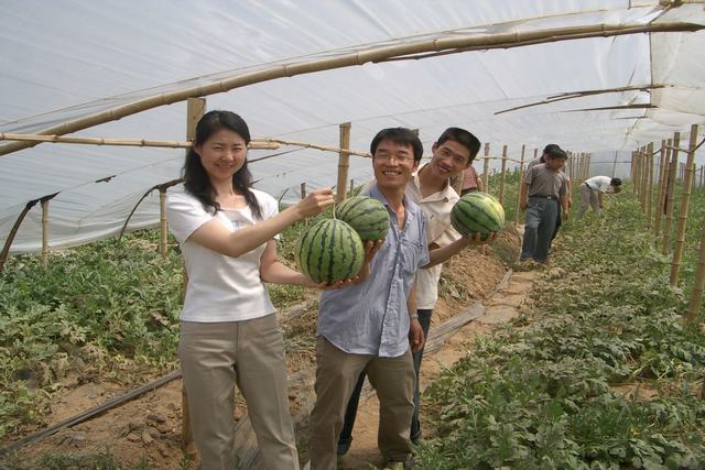 员工活动—摘西瓜,瑞鸿电控