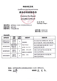 国标盐雾试验报告-2